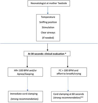 Italian Recommendations for Placental Transfusion Strategies